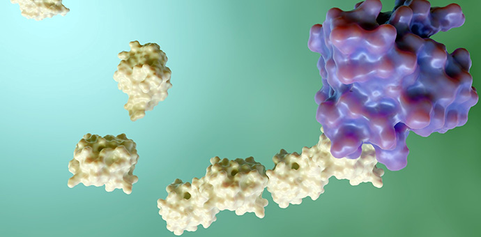 Labelled Amino Acids