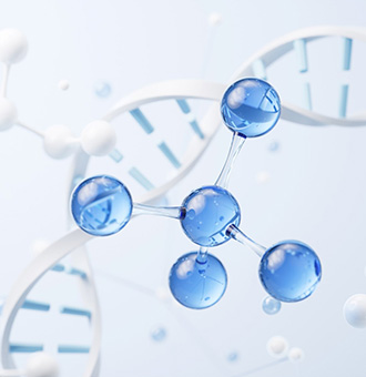 Labelled Nucleic Acids